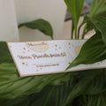 Voucher Manuella - Manuella